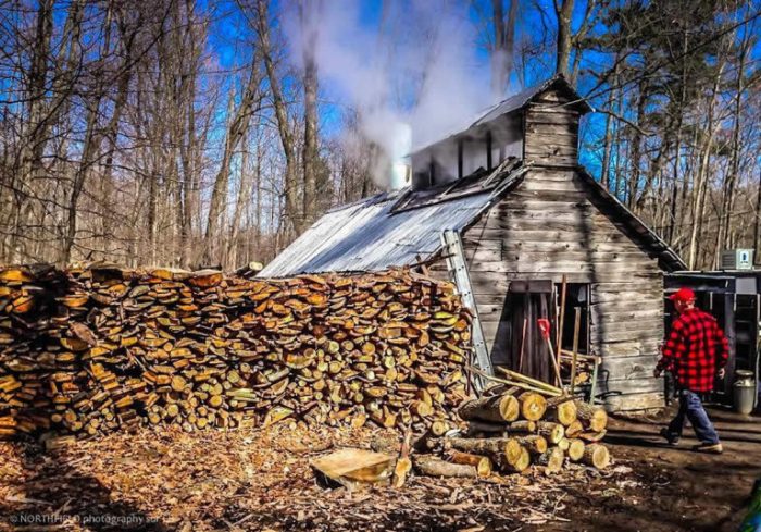 Maple Fest at Proulx Farm